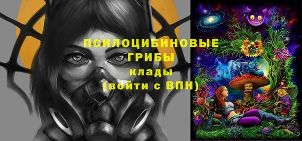 скорость Няндома