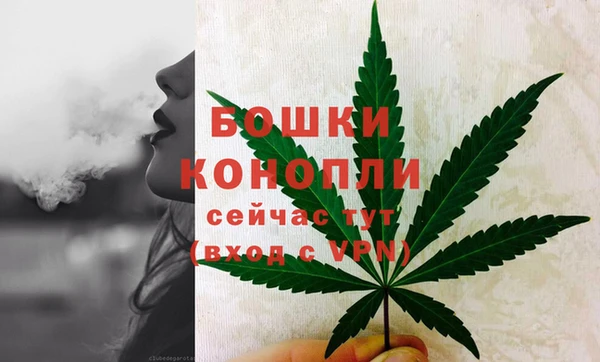 молекула духа Нягань