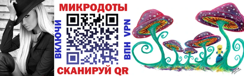 дарнет шоп  Магнитогорск  Псилоцибиновые грибы Psilocybine cubensis 