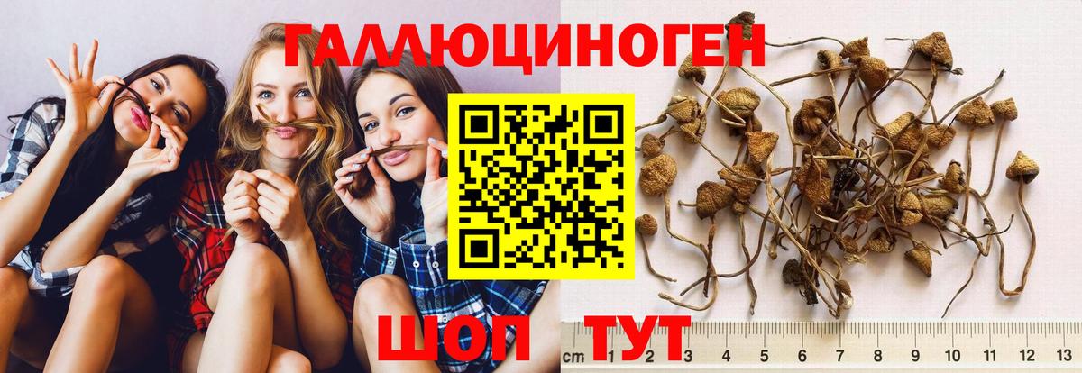 Галлюциногенные грибы MAGIC MUSHROOMS Магнитогорск